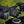 MERLIN - JURA AIR D3O® GLOVE