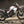 Moto Morini AlltrHike 450 **Brand New Bike - PRE ORDER YOURS NOW**