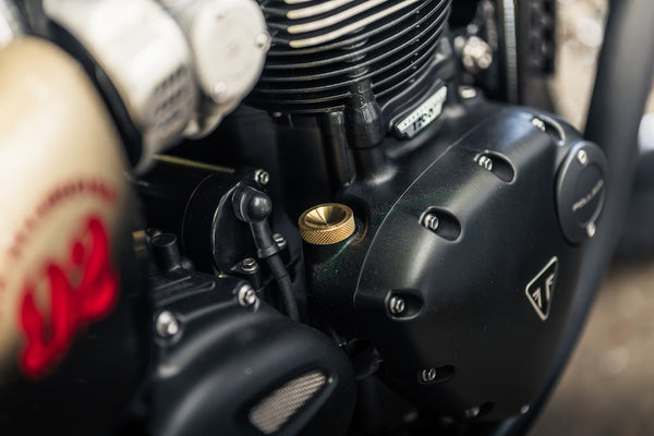 "Uncommon Sense" Triumph T120 Custom