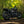 Triumph - T120 Dark Night Gloss Black