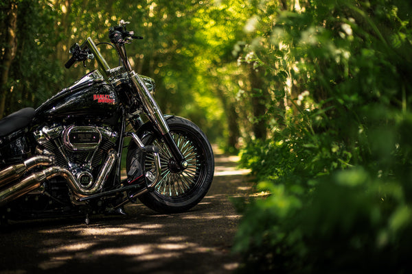 Hillbilly Edition - Harley-Davidson Fat Boy