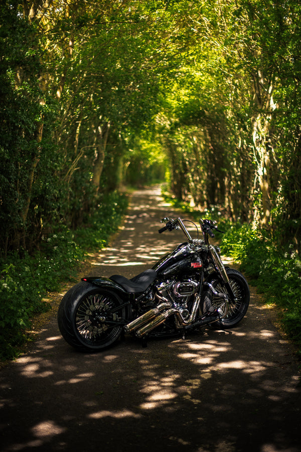 Hillbilly Edition - Harley-Davidson Fat Boy