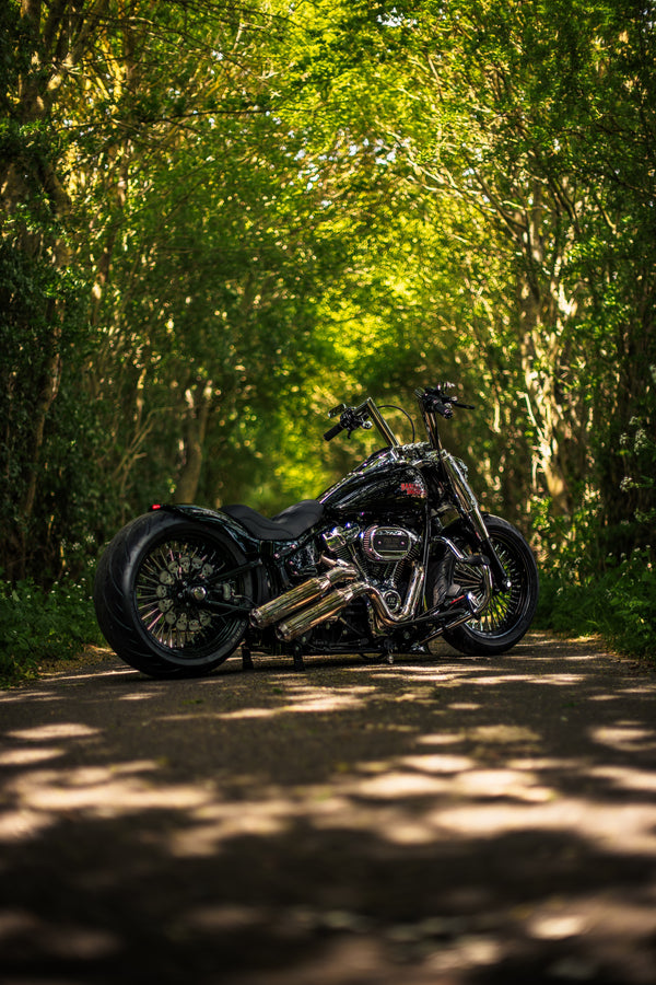 Hillbilly Edition - Harley-Davidson Fat Boy