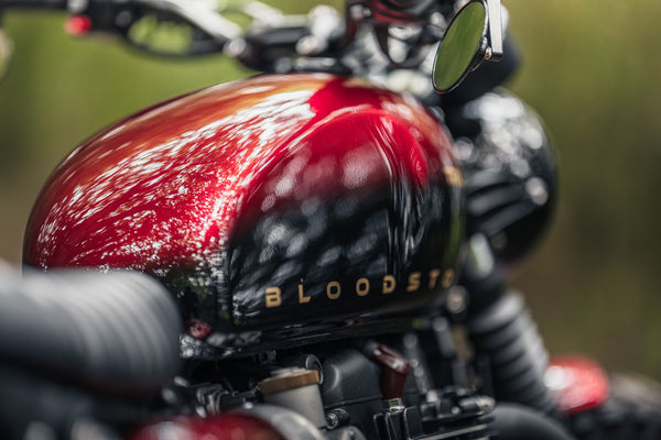 Triumph - Bloodstorm