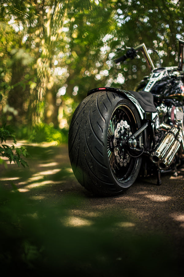 Hillbilly Edition - Harley-Davidson Fat Boy