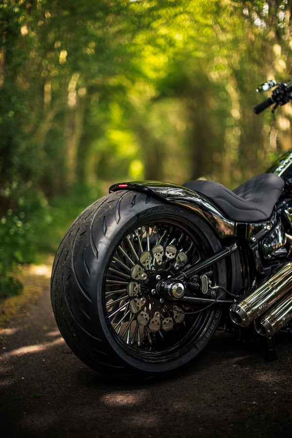 Hillbilly Edition - Harley-Davidson Fat Boy