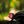 Triumph - T120 Dark Night Gloss Black