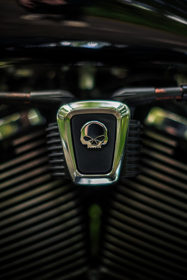 Hillbilly Edition - Harley-Davidson Fat Boy