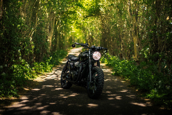 Triumph - T120 Dark Night Gloss Black