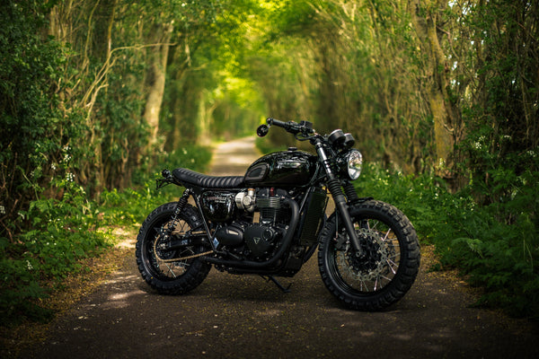 Triumph - T120 Dark Night Gloss Black