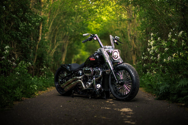 Hillbilly Edition - Harley-Davidson Fat Boy