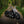 Hillbilly Edition - Harley-Davidson Fat Boy