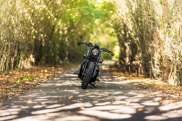 "Wolf Bobber" DRAFT
