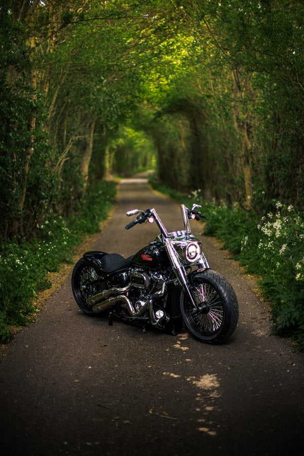 Hillbilly Edition - Harley-Davidson Fat Boy