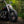 Hillbilly Edition - Harley-Davidson Fat Boy