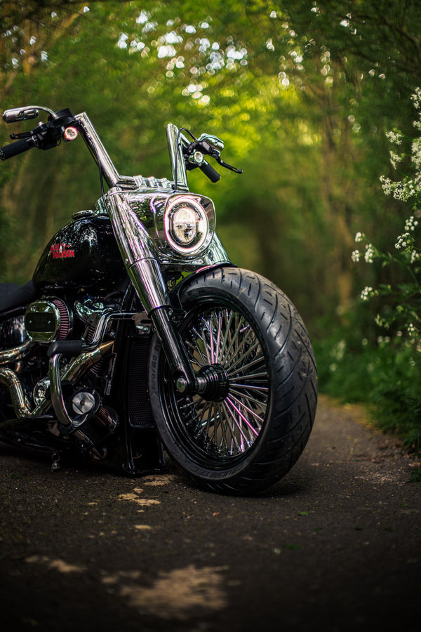 Hillbilly Edition - Harley-Davidson Fat Boy