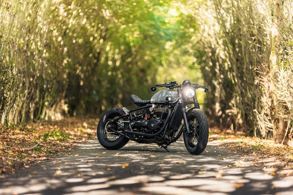 "Wolf Bobber" DRAFT