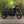 Triumph - The Jackal - Scrambler 1200 XC