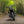 Triumph - The Jackal - Scrambler 1200 XC