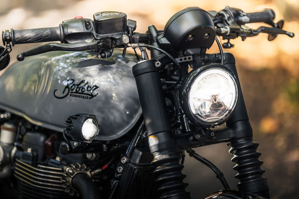 "Wolf Bobber" DRAFT