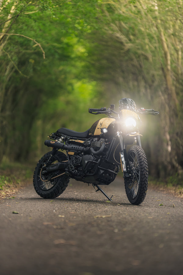 Triumph - The Jackal - Scrambler 1200 XC