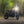 Triumph - The Jackal - Scrambler 1200 XC