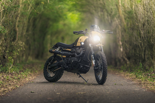 Triumph - The Jackal - Scrambler 1200 XC