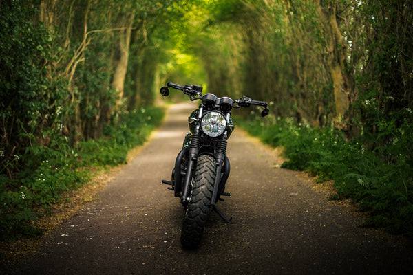 Triumph - T120 Dark Night Gloss Black