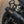 Triumph - The Jackal - Scrambler 1200 XC