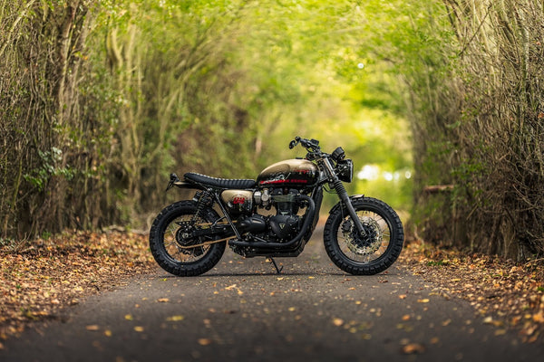 "Uncommon Sense" Triumph T120 Custom