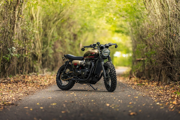"Uncommon Sense" Triumph T120 Custom