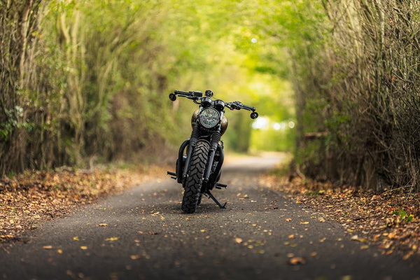 "Uncommon Sense" Triumph T120 Custom