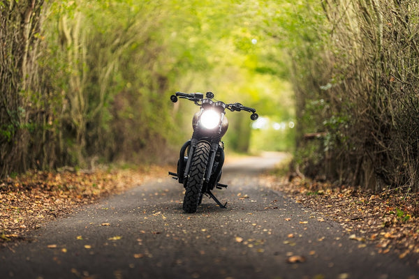 "Uncommon Sense" Triumph T120 Custom