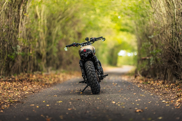 "Uncommon Sense" Triumph T120 Custom