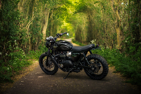 Triumph - T120 Dark Night Gloss Black