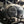 Poulson - Triumph Clutch + Points covers