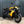 BUELL IS BACK! NEW 1190 SX V-TWIN NAKED SPORTSBIKE
