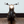 Classic Retro Bobber
