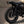 Motone BUZZSAW 255 Rear Brake Disc / Rotor