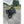 Motone Bobbed predrilled Rear Mudguard/Fender - Black Anodised Alumini