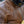 the-76-cafe-racer-jacket