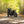 Gentlemanly Green T120 Dark Night
