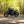 Gentlemanly Green T120 Dark Night