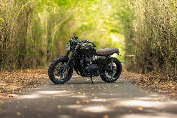Gentlemanly Green T120 Dark Night