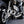 Motone Gladius - Speed Twin/Thruxton Chain Guard - Brushed Finish