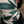 Motone LIGHTNING Neck Tube (Green/Cream)
