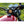 Motone Monza Cap Kit for Triumph and HD