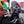 Motone Monza Cap Kit for Triumph and HD