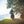 Morbidelli T1002VX Adventure