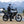 Morbidelli T125X